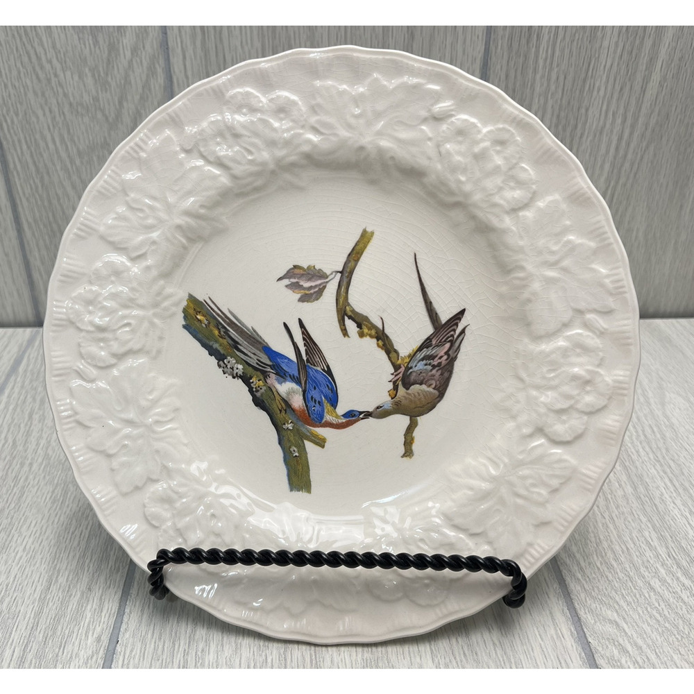 Birds of America Plate Alfred Meakin National‎ Audubon Society Passenger Pigeon